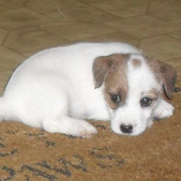 Thanks for shopping my closet!!! - Picture 2 of 16